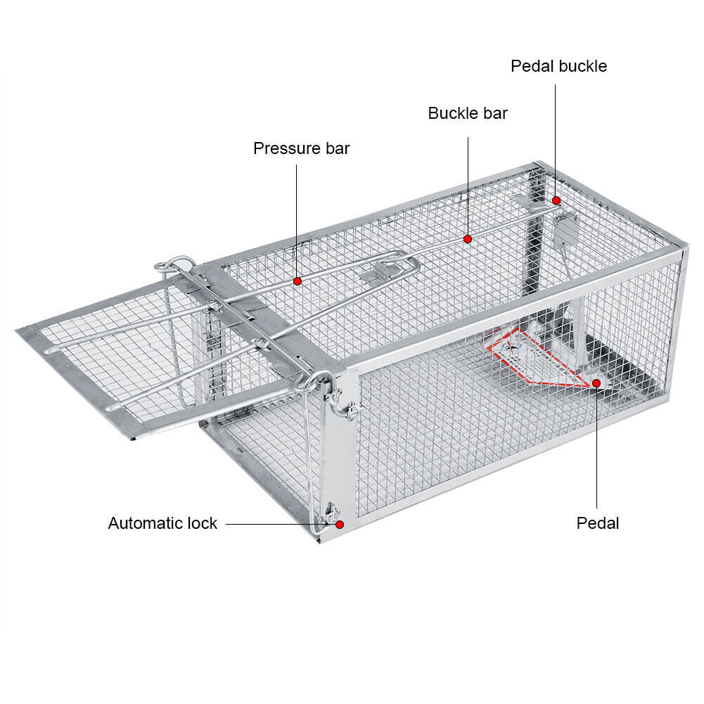 USA Mouse Trap Rat Trap Rodent Trap Live Catch Cage, Easy to Set Up