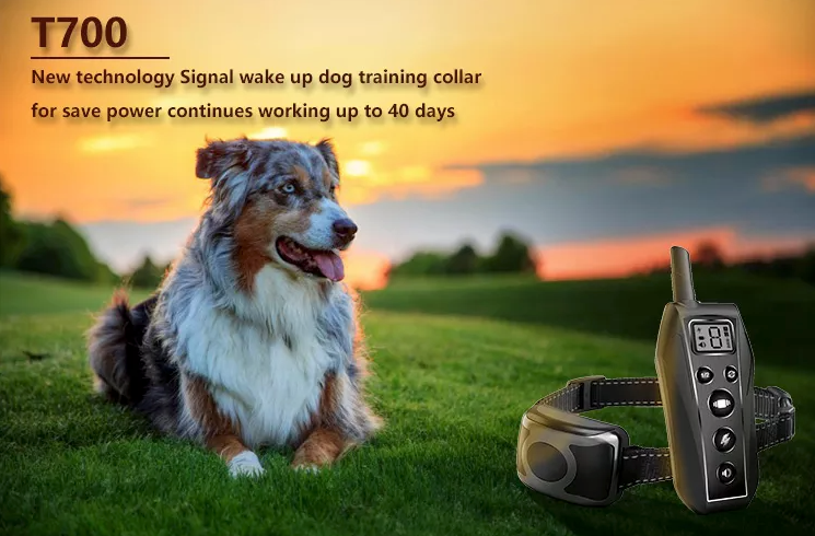650 YD Remote Dog Training Shock Collar Waterproof for Small Medium