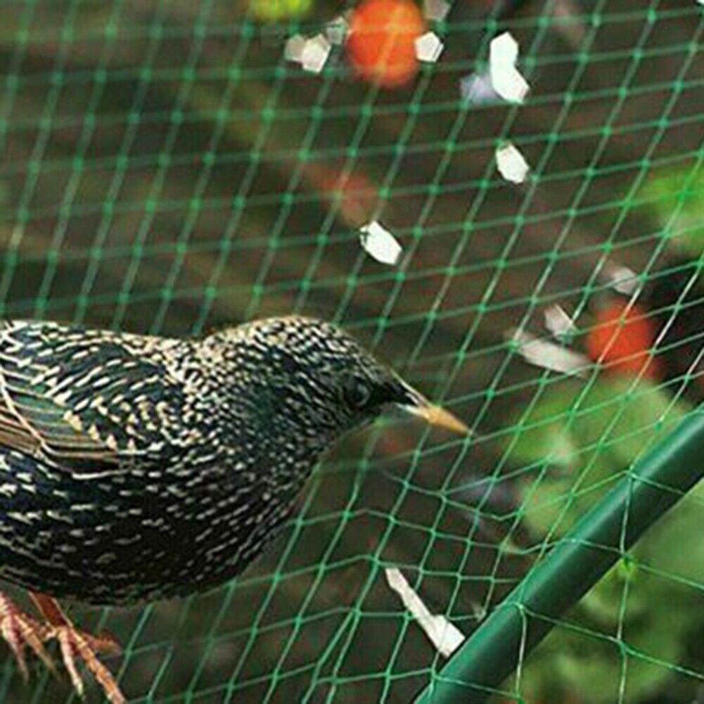 33FT Anti Bird Netting Pond Net Protection Tree Crops Plants Fruits