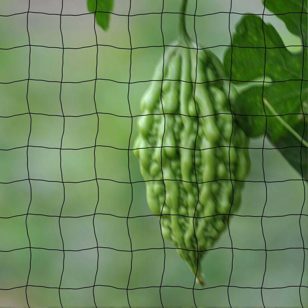 33FT Anti Bird Netting Pond Net Protection Tree Crops Plants Fruits