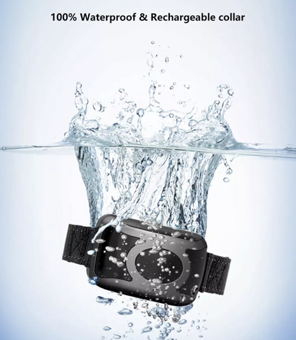 650 YD Remote Dog Training Shock Collar Waterproof for Small Medium